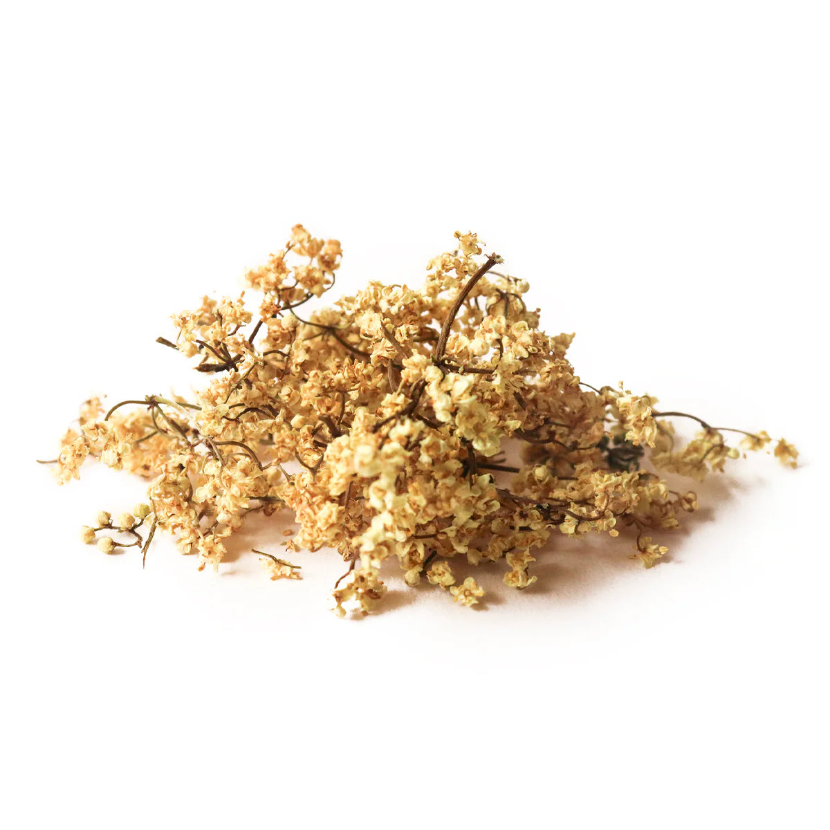 Elder Flower
