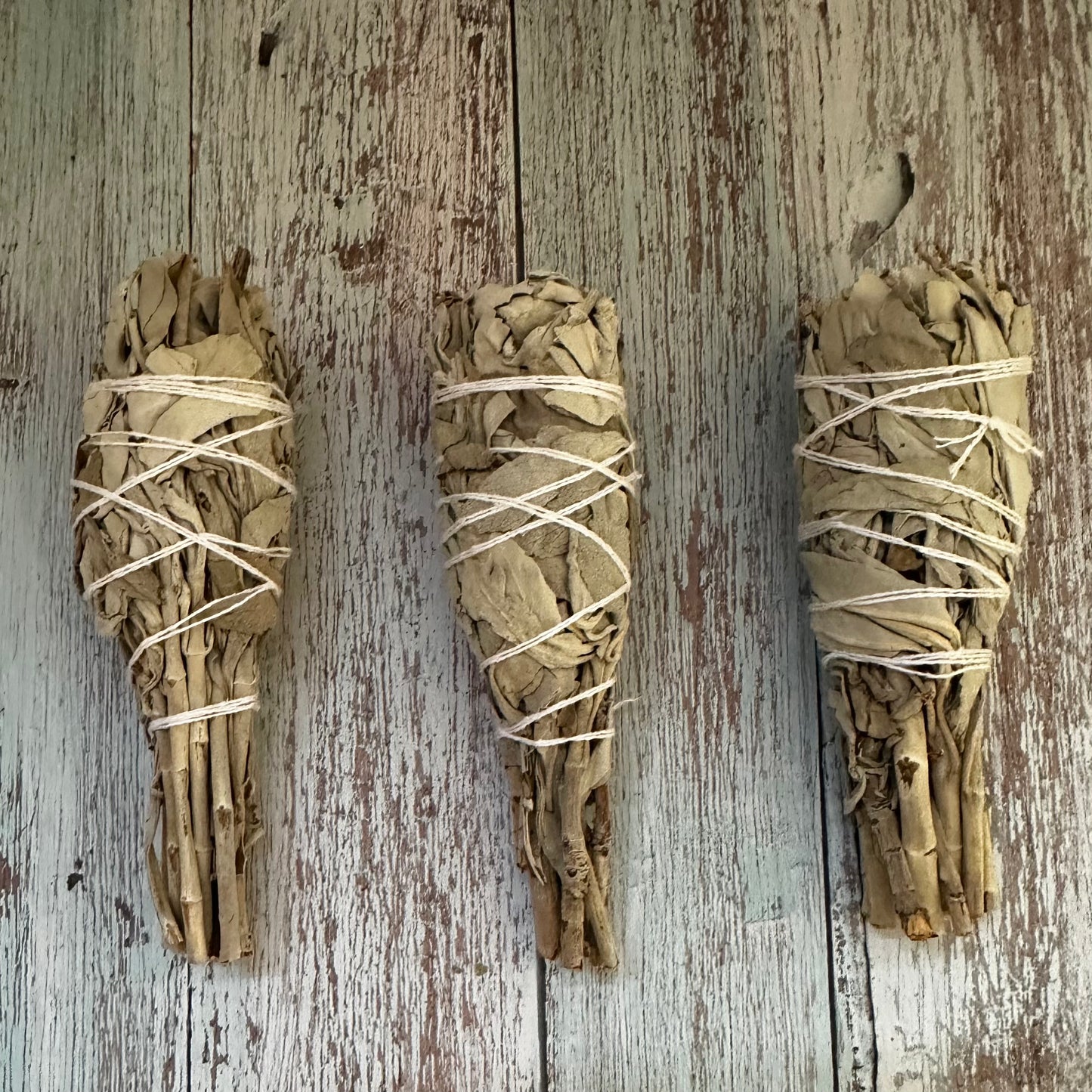 Organic White Sage Torches