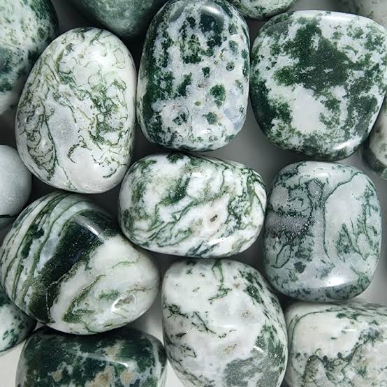 Tumbled Stone - Tree Agate