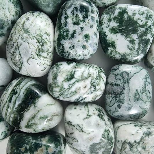 Tumbled Stone - Tree Agate